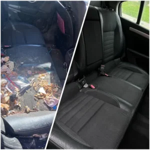 Contact detailing auto